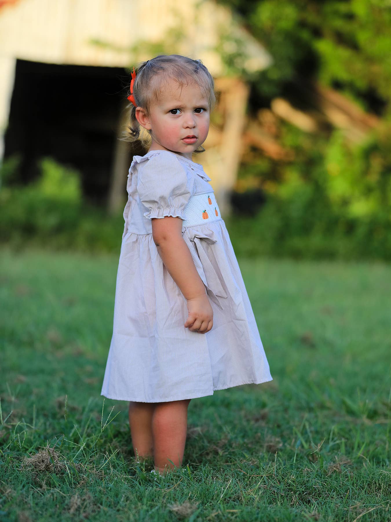 Halloween & Thanksgiving Pumpkin Embroidery Smock Plaid Girls Dress: 6