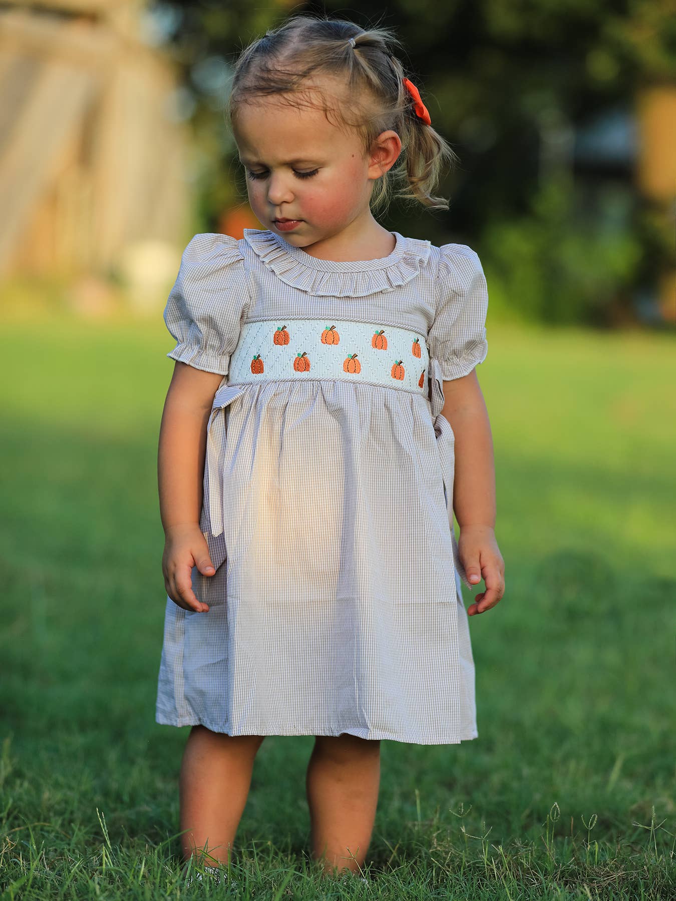 Halloween & Thanksgiving Pumpkin Embroidery Smock Plaid Girls Dress: 6