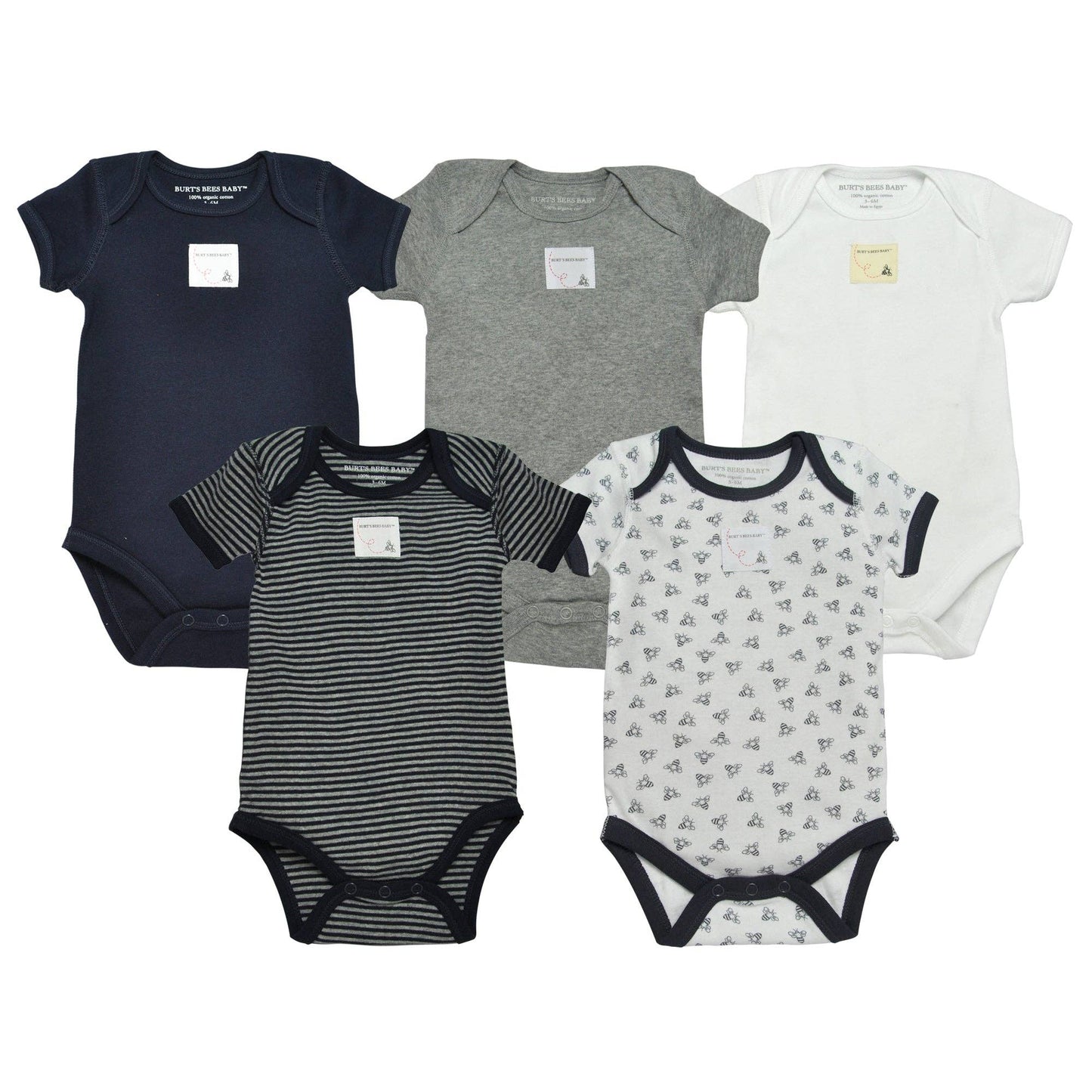 Set of 5 Short Sleeve Bodysuits: Blueberry