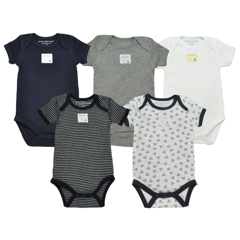 Set of 5 Short Sleeve Bodysuits: Blueberry